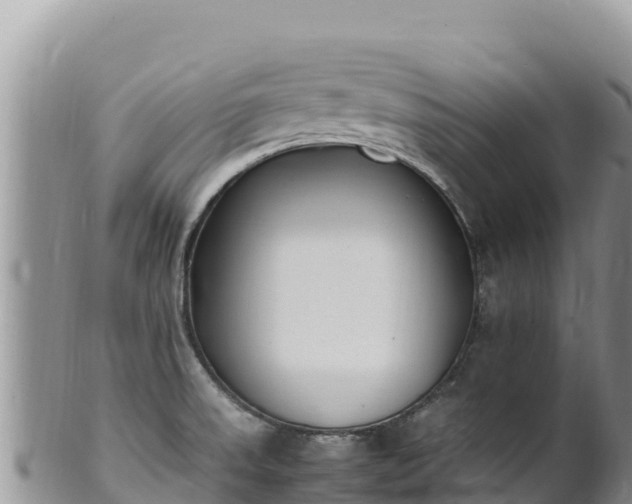 X0000102251523200808011259