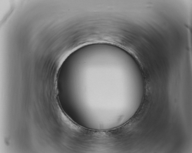 X0000102251524200808011259