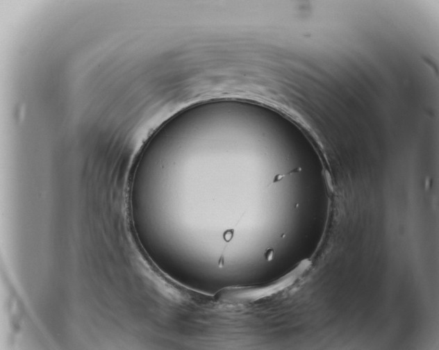 X0000102251525200808011259