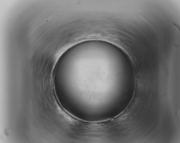 X0000102251527200808011259