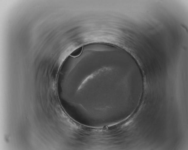 X0000102251529200808011259