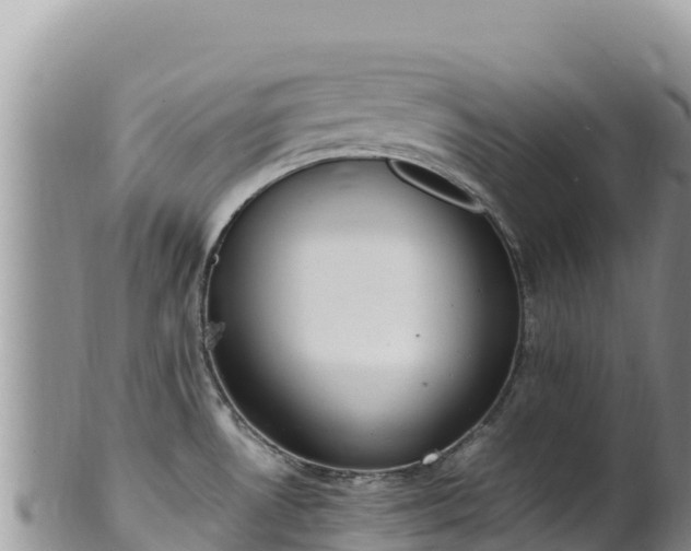 X0000102251530200808011259