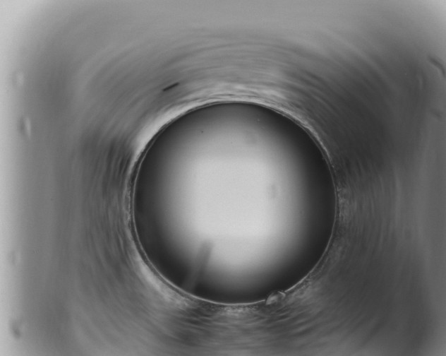 X0000102251531200808011259