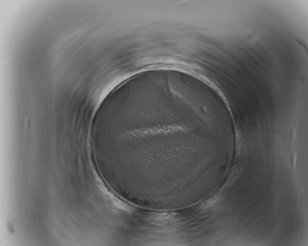 X0000102251533200808011259