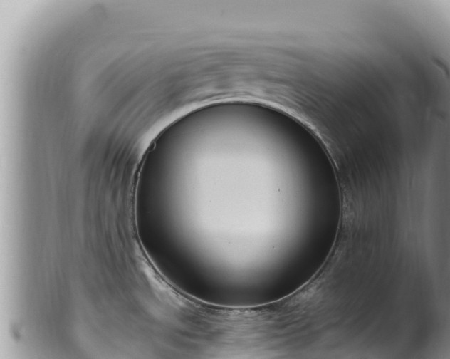 X0000102251534200808011259