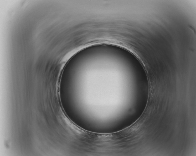 X0000102251535200808011259