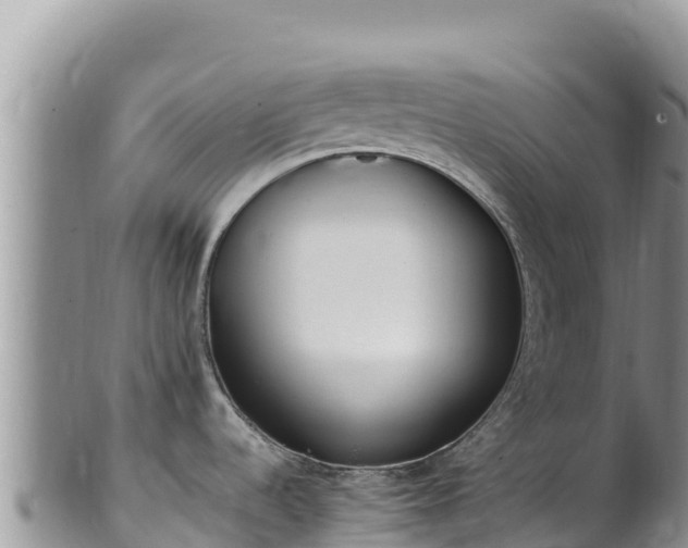 X0000102251536200808011259