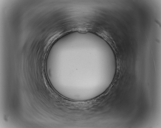 X0000102250001200808081421