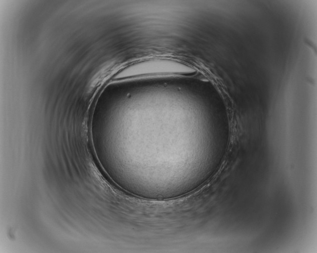 X0000102250002200808081421