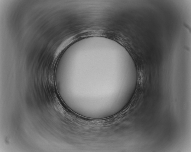 X0000102250004200808081421