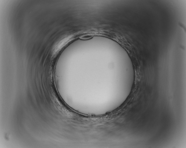 X0000102250005200808081421