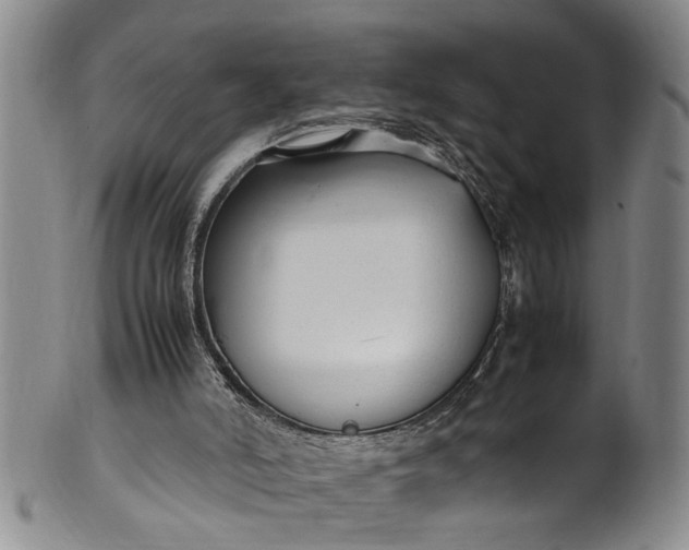 X0000102250006200808081421