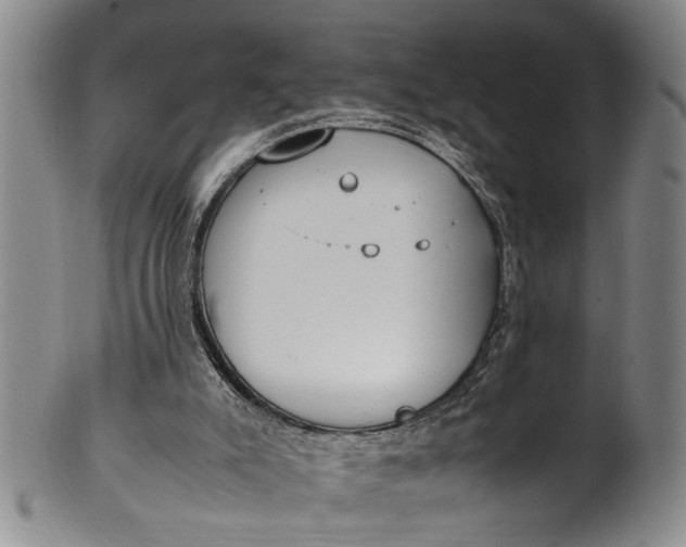 X0000102250007200808081421