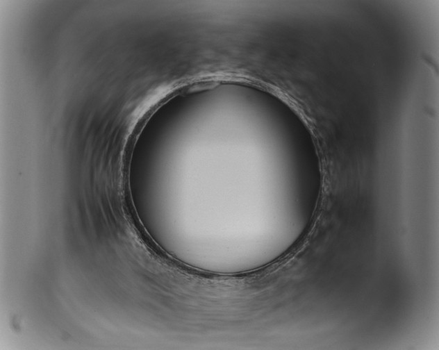 X0000102250008200808081421