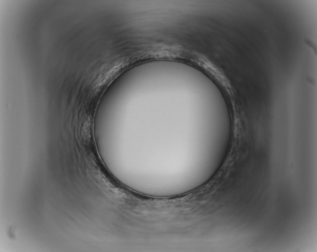 X0000102250009200808081421