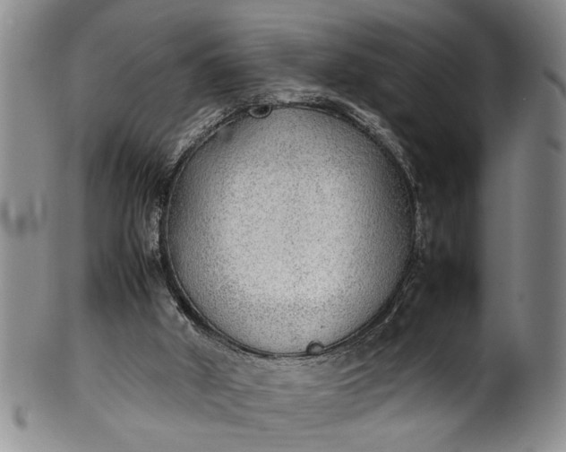 X0000102250010200808081421