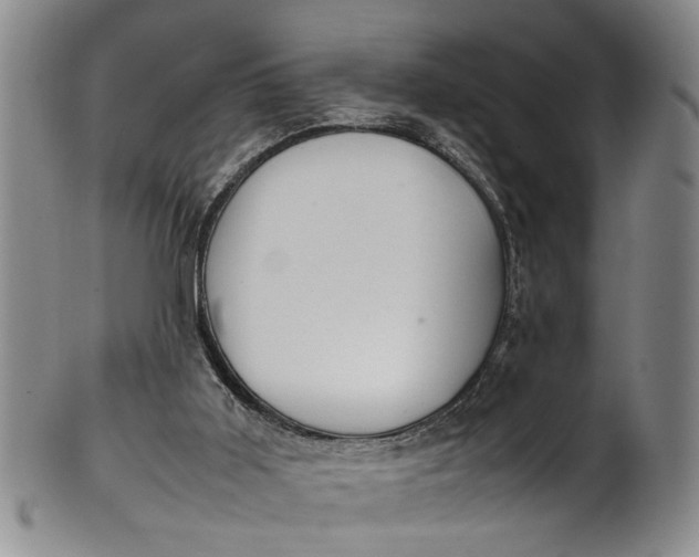 X0000102250011200808081421