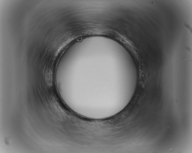 X0000102250012200808081421