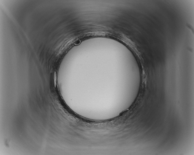 X0000102250013200808081421