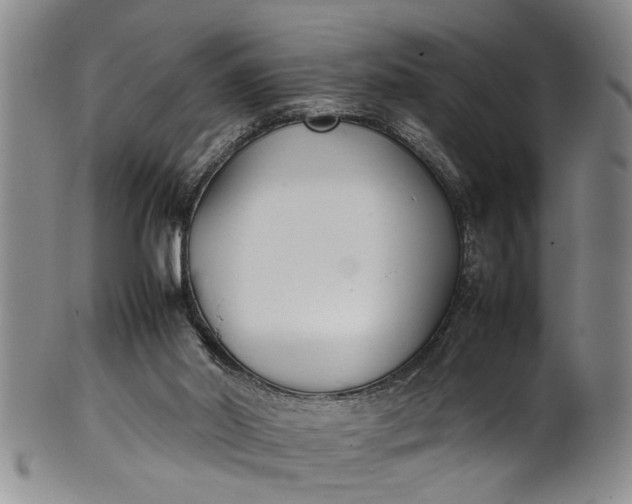 X0000102250014200808081421