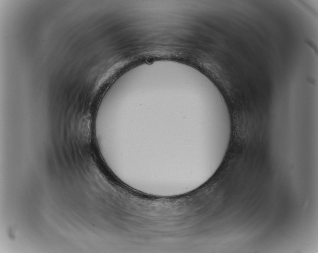 X0000102250016200808081421