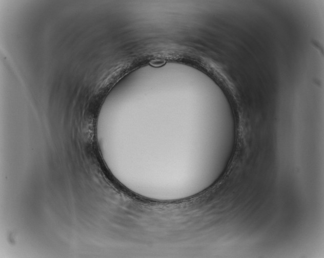 X0000102250017200808081421