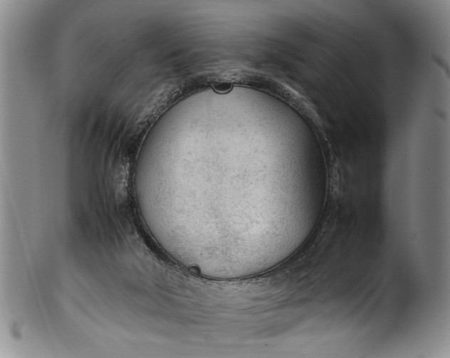 X0000102250018200808081421