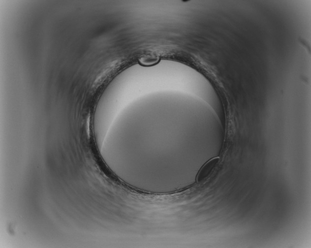 X0000102250019200808081421