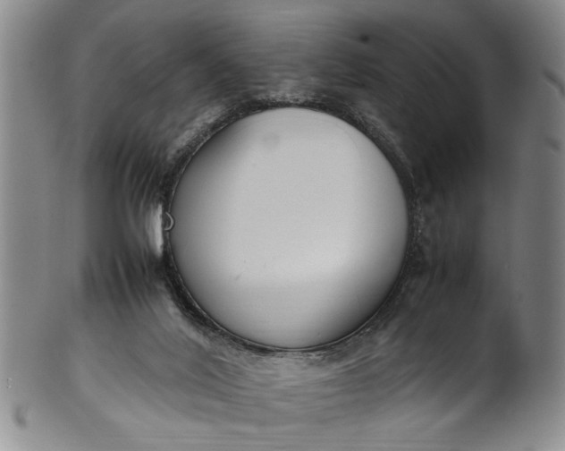 X0000102250020200808081421