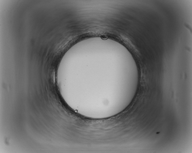 X0000102250021200808081421