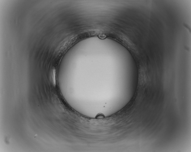 X0000102250022200808081421