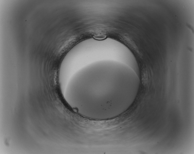 X0000102250023200808081421