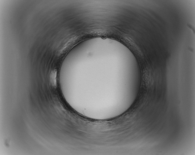 X0000102250024200808081421