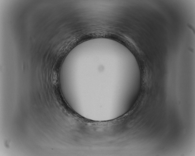 X0000102250025200808081421