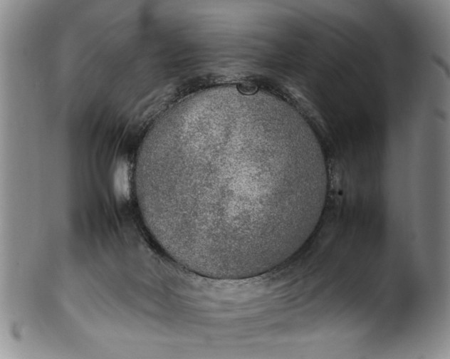 X0000102250026200808081421