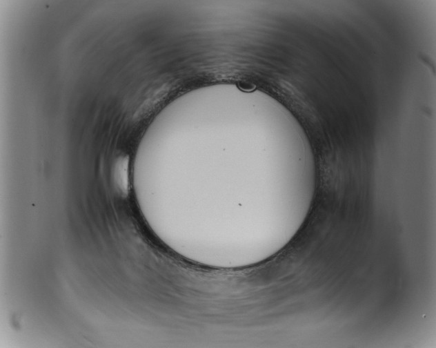 X0000102250028200808081421