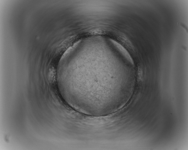 X0000102250029200808081421