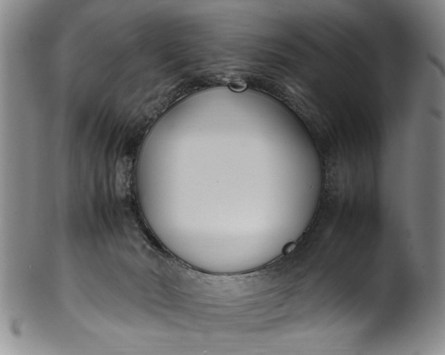 X0000102250030200808081421