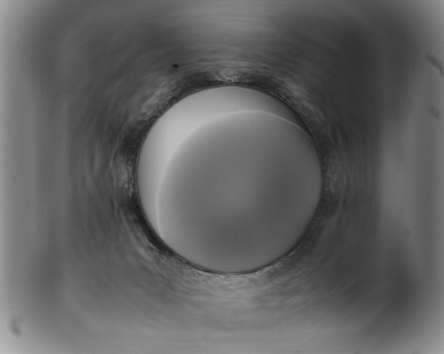 X0000102250031200808081421