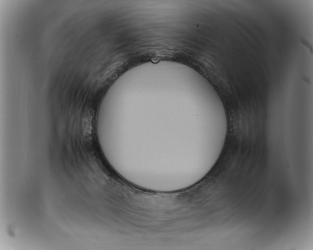 X0000102250032200808081421