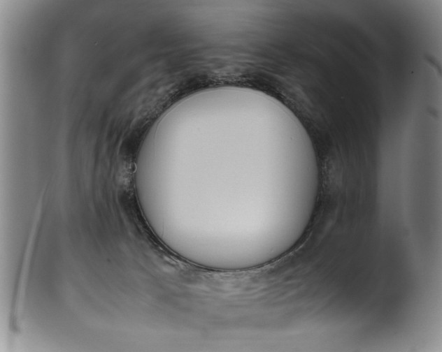 X0000102250033200808081421