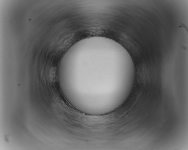 X0000102250034200808081421