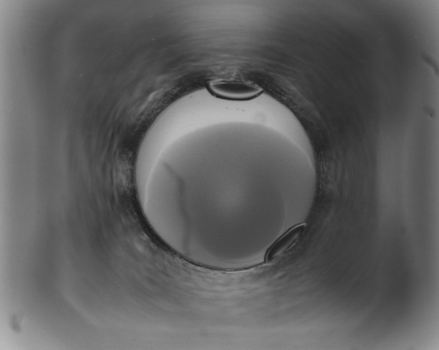 X0000102250035200808081421