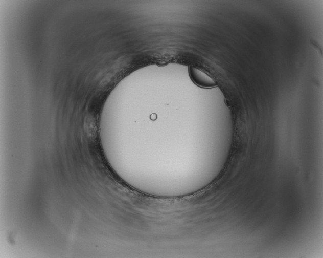 X0000102250037200808081421