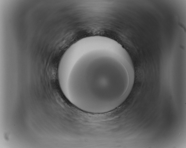 X0000102250039200808081420