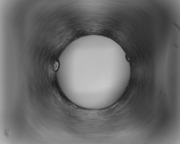 X0000102250040200808081420