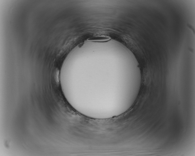 X0000102250041200808081420