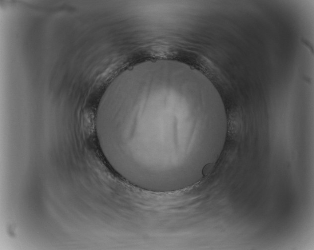 X0000102250043200808081420