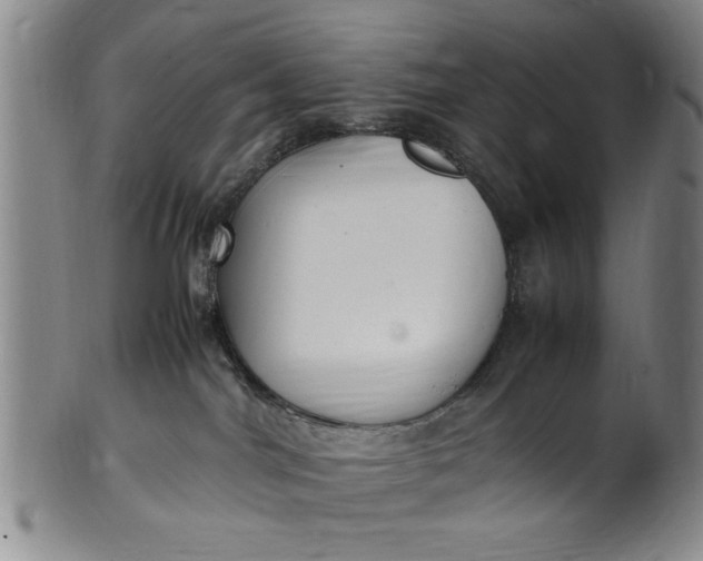 X0000102250044200808081420