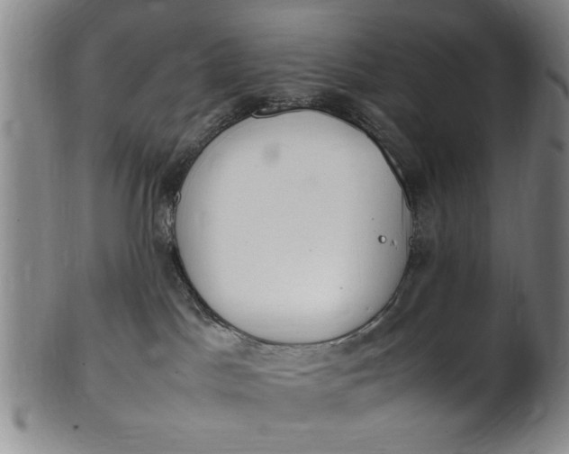 X0000102250045200808081420